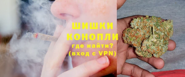 сатива Касимов