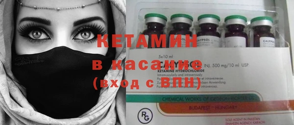 сатива Касимов