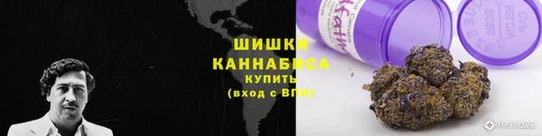 сатива Касимов
