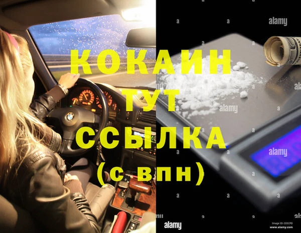 сатива Касимов