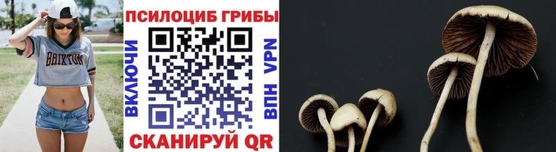 Купить где  Надым  Псилоцибиновые грибы прущие грибы 