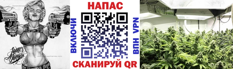 МАРИХУАНА Ganja Надым